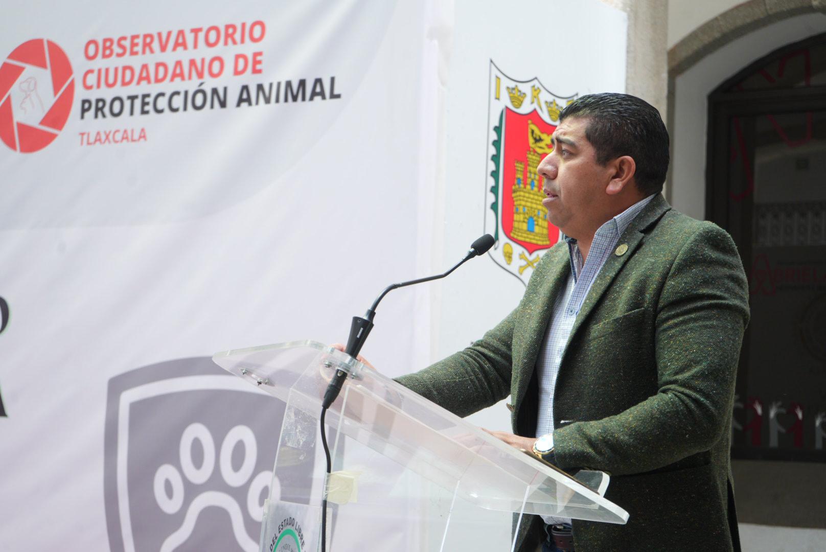 Analizan en el Congreso el maltrato animal